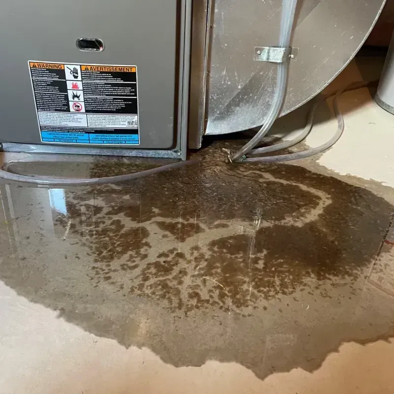 Appliance Leak Cleanup in Falls County, TX